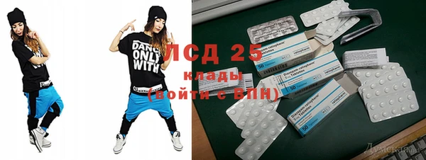 ECSTASY Алзамай